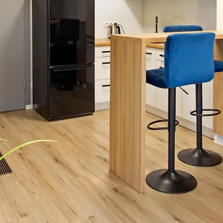 Paryski Centrum #nestapartamenty 公寓 别尔斯克-比亚拉